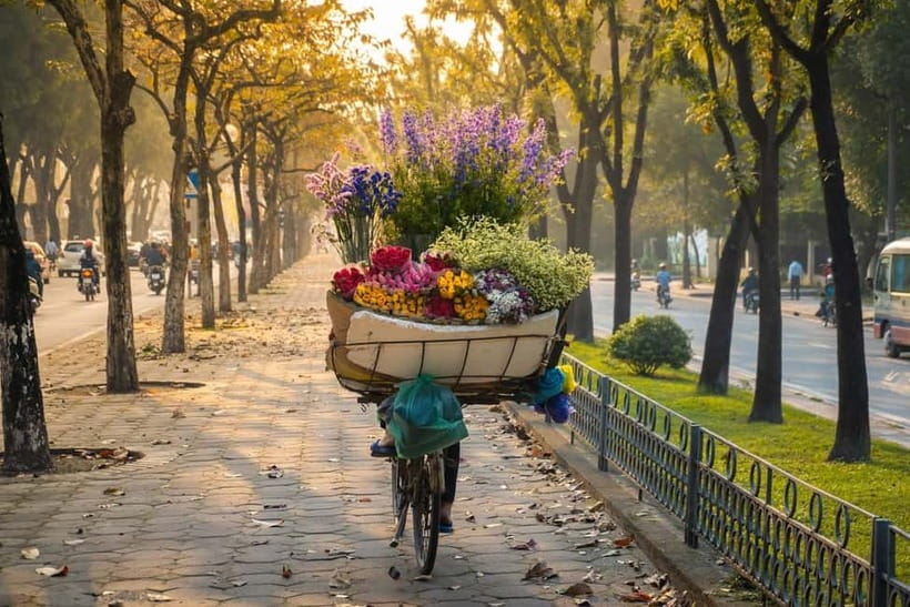 Hanoi City Half Day - Explore With A Special Program - Old Quarter, Dong Xuan Market, and Ta Hien Street