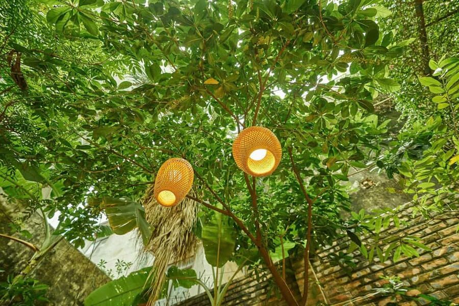 Hanoi Cooking Class: Pho/Bun Cha/Nem + Free Egg/ Salt Coffee - Key Things That Make This Class Worth Your Time
