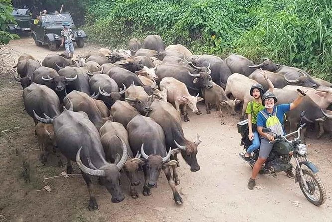 Hanoi Countryside Motorbike Tour: Red River Culture & Daily Life - Key Points That Make This Tour Worth Your Time