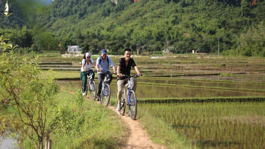 Hanoi: Full Day Guided Tour of Hoa Lu, Trang An, Mua Cave - Why This Hanoi Hoa Lư, Trang An, Mua Cave Day Trip Works