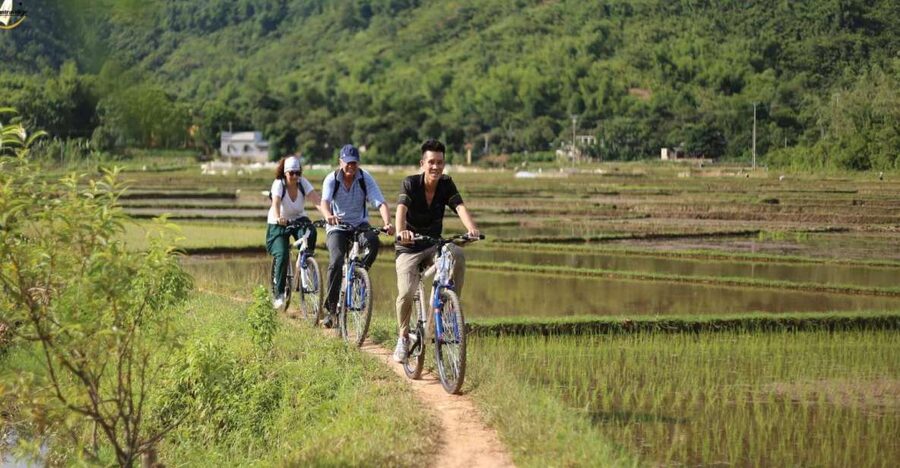 Hanoi: Full Day Guided Tour of Hoa Lu, Trang An, Mua Cave - Hoa Lư Ancient Capital (Dinh, Lê, Lý): More Than a Photo Stop