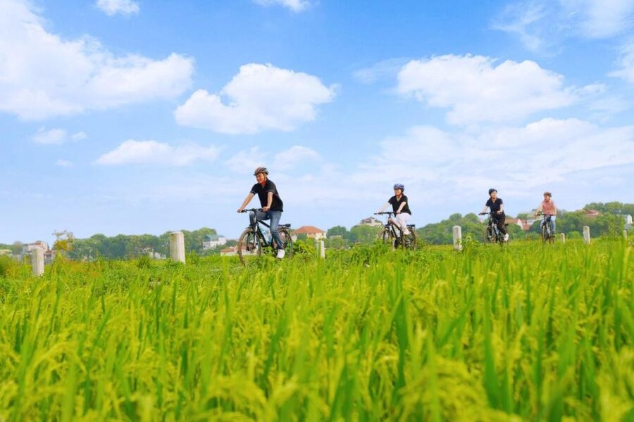 Hanoi: Guided Full-Day Hoa Lu, Trang An and Mua Cave Tour - Guides, Weather, and Crowds: Why Attentive Hosting Changes Everything