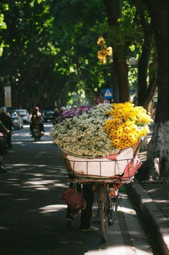 Hanoi: Half-day Private City Tour - A 4-hour Hanoi plan that doesn’t waste your energy