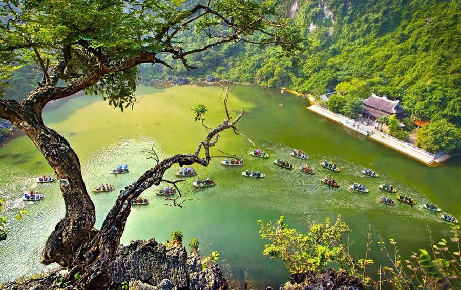 Hanoi: Hoa Lu, Trang An, and Mua Cave Full-Day Trip - Key highlights to look for