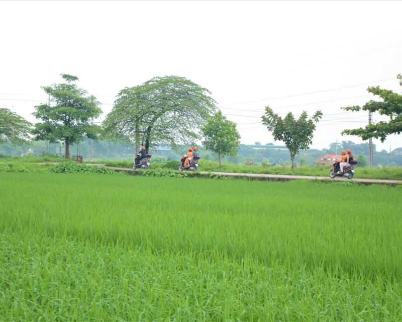Hanoi Motorbike Countryside Tour - Rice Fields and Agriculture, Seeing Hanoi’s Farming Side