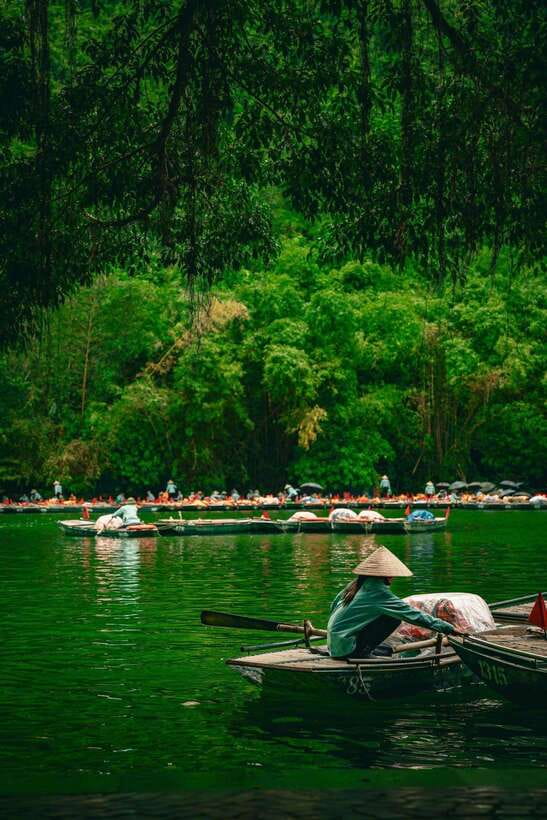 Hanoi: Ninh Binh, Tam Coc, Mua Cave & Hoa Lu with cycling - Mua Cave sunset option: 500 steps, the dragon statue, and crowd control reality