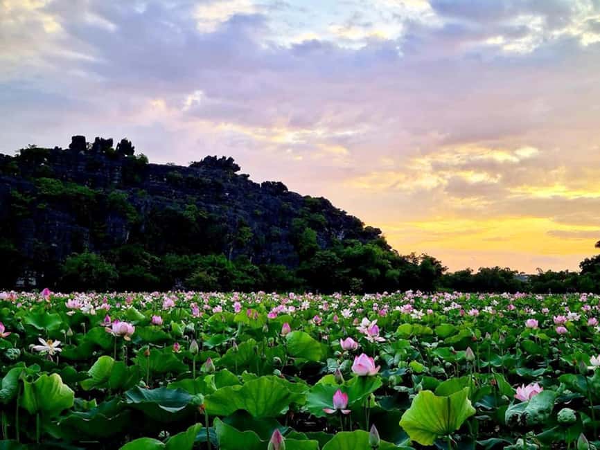 Hanoi / Ninh Binh: Trang An eco-tourism - Hoa Lu & Mua Cave - Who This Tour Is Best For (and Who Should Reconsider)