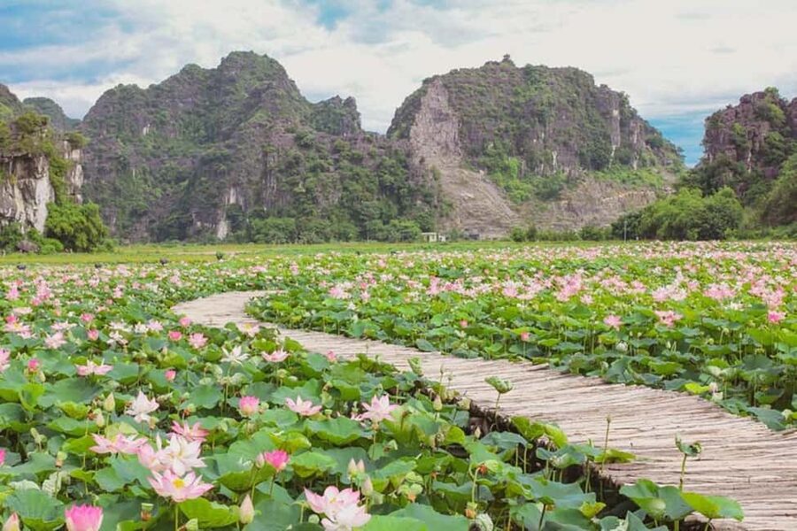 Hanoi / Ninh Binh: Trang An eco-tourism - Hoa Lu & Mua Cave - Price and Value: What $22 Covers, Then What You Pay On-Site
