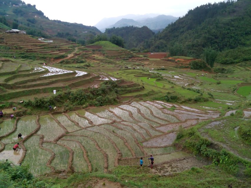 Hanoi- SaPa: 3-Day Homestay Trek to Explore Ethnic cultures - Who This Trek Fits Best, and Who Should Look Elsewhere