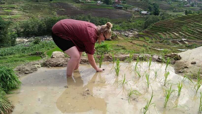 Hanoi- SaPa: 3-Day Homestay Trek to Explore Ethnic cultures - Day 2: Bamboo Forest to Red Dzao and Rattan Bridge at Ban Ho