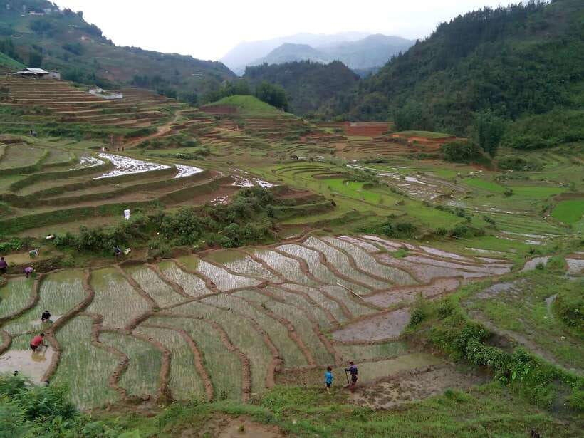 Hanoi- SaPa: 3-Day Homestay Trek to Explore Ethnic cultures - What You Pay for at $139, and Where the Budget Can Slip
