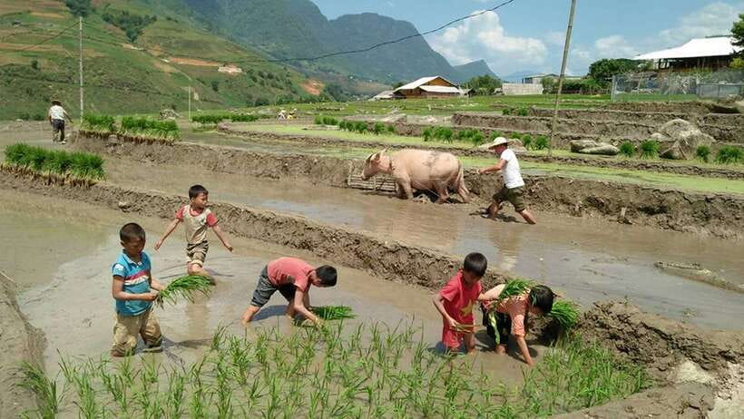 Hanoi- SaPa: 3-Day Homestay Trek to Explore Ethnic cultures - Guides, Language, and Why It Matters More Than You Think