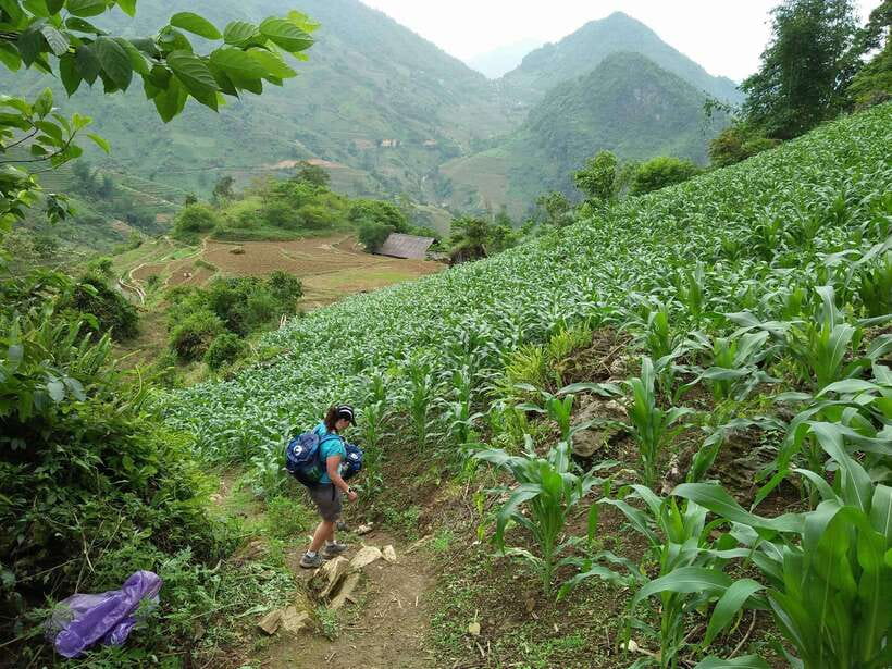 Hanoi- SaPa: 3-Day Homestay Trek to Explore Ethnic cultures - Homestays and Meals: Comfort Level, Food, and Real Expectations