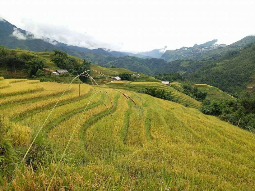 Hanoi- SaPa: 3-Day Homestay Trek to Explore Ethnic cultures - Fitness, Weather, and Packing That Actually Helps