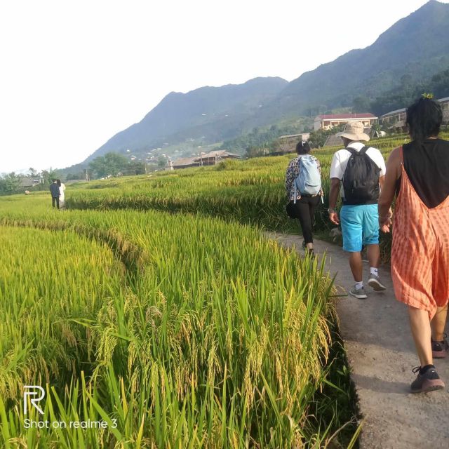 Hanoi: Sapa Trekking 2 Days 1 Night - Sleeper Bus from Hanoi - Muong Hoa Valley Trek: 12 km of Rice Terraces and Downhill Hiking
