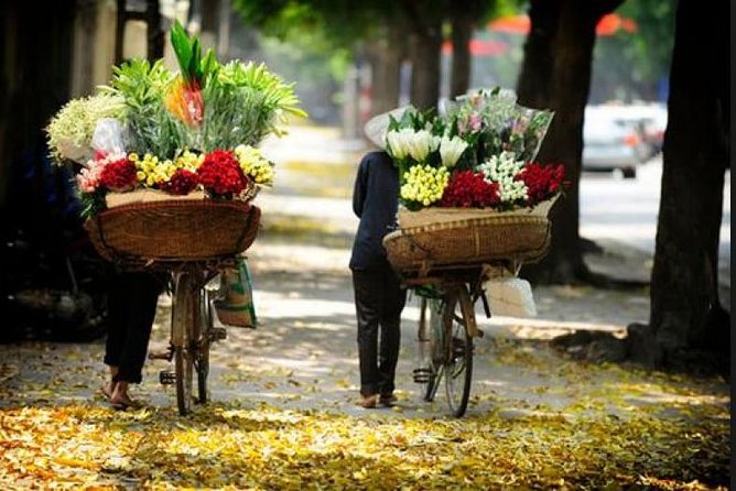 Hanoi street food tour (small group) - What the guide adds (and why you’ll notice it fast)