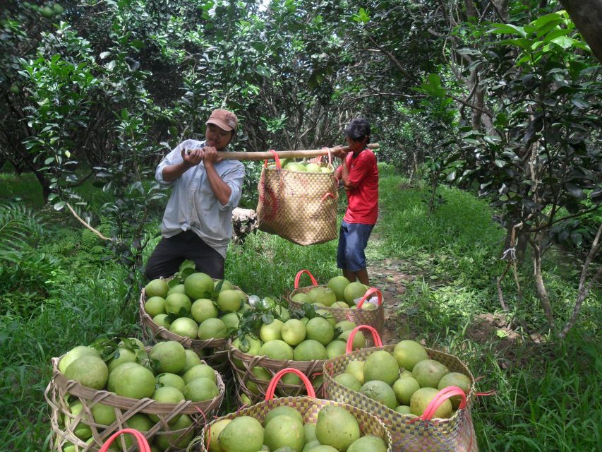 HCMC: Cai Rang Floating Market & Mekong Delta Private Tour - Tips I’d Use Before You Go