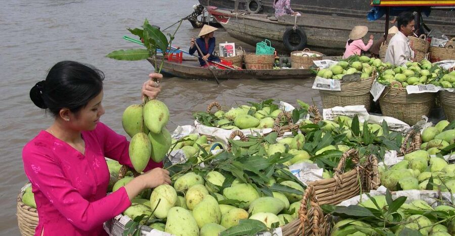 HCMC: Cai Rang Floating Market & Mekong Delta Private Tour - Why Cai Rang Works Best at Dawn