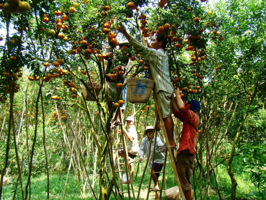 HCMC: Cai Rang Floating Market & Mekong Delta Private Tour - Bee Farm Stop, Honey Tea, and Village Music