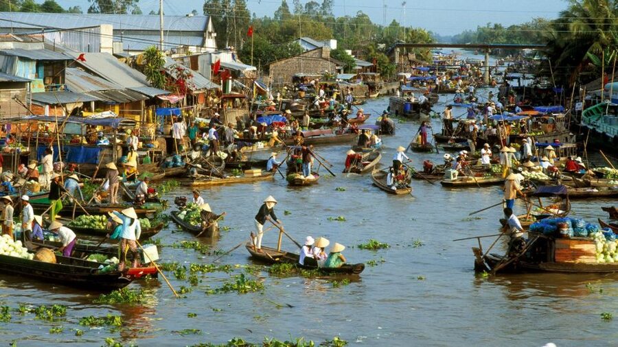HCMC: Cai Rang Floating Market & Mekong Delta Private Tour - Lunch in the Mekong Delta, Vegan Option Included