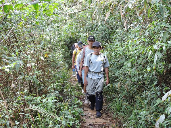 Hike and Kayak with exploring Tuyen Lam Lake in Da Lat - Jungle Hike Toward Tuyen Lam Lake: What to Expect on the Trail