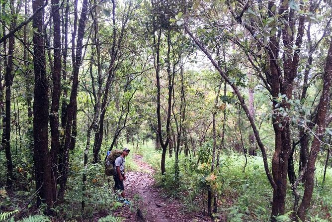 Hike and Kayak with exploring Tuyen Lam Lake in Da Lat - Small-Group Advantage: More Attention, Less Waiting