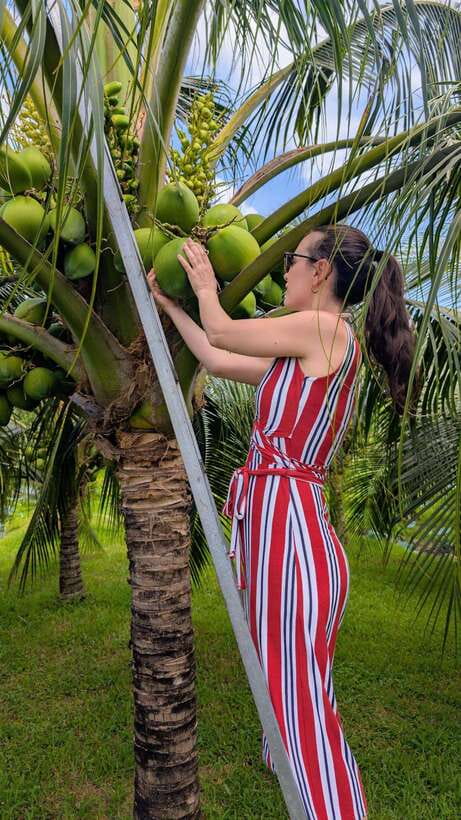 Ho Chi Minh: 1-Day Mekong Delta Tour-Floating Market & Islet - Floating fish farm and koi fish foot massage