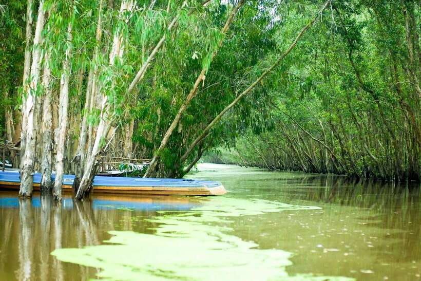 Ho Chi Minh: 3-Day Mekong Delta & Optional Exit to PhnomPenh - Day 3: floating villages, Cham heritage, and your Phnom Penh option