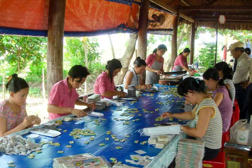 Ho Chi Minh: 3-Day Mekong Delta & Optional Exit to PhnomPenh - Guides and group size: why the right person changes the trip