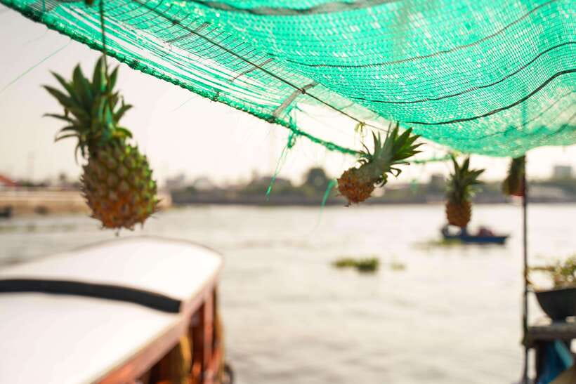 Ho Chi Minh: 3-Day Mekong Delta & Optional Exit to PhnomPenh - Price and value: $261 for Mekong Delta plus the Cambodia option