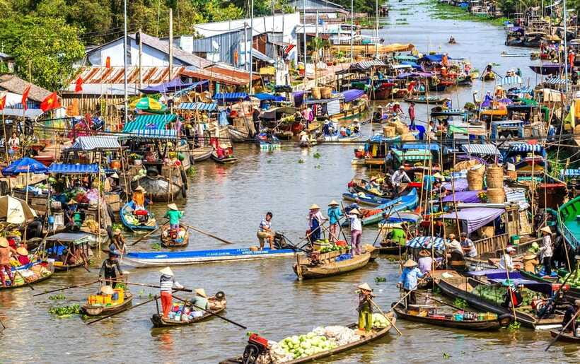 Ho Chi Minh City: Cai Rang Floating Market in Can Tho Tour - Fruit picking, monkey bridge, and hands-on snacks