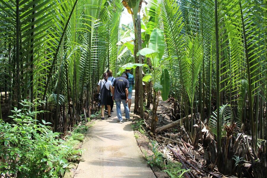 Ho Chi Minh City: Discover Mekong Delta & Coconut Village - A Mekong Day From Ho Chi Minh City Without the Stress