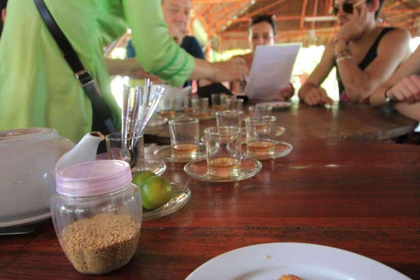 Ho Chi Minh City: Mekong Delta Day Trip with Lunch - Don Ca Tai Tu Music, a Living UNESCO Tradition