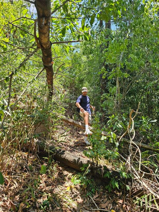 Hoi An: Amazing My Son Sanctuary and Mountain Trekking - Who This Trip Fits Best