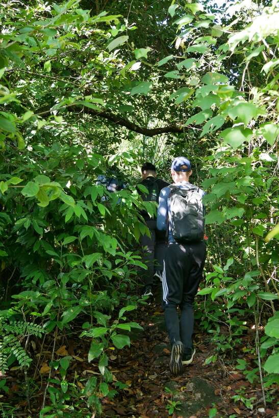 Hoi An: Amazing My Son Sanctuary and Mountain Trekking - Should You Book This My Son Sanctuary and Mountain Trek?