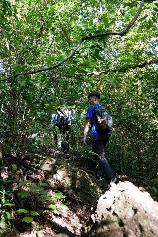 Hoi An: Amazing My Son Sanctuary and Mountain Trekking - FAQ