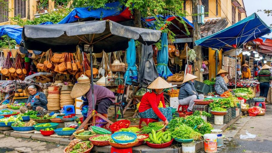 Hoi An: Authentic Cooking class in organic Herb Village - Key things that make this cooking class worth it