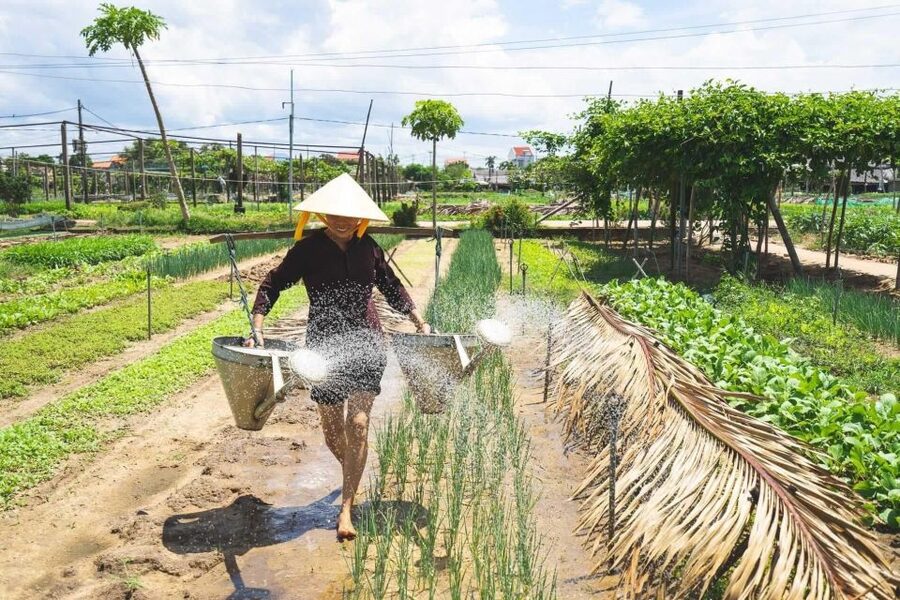 Hoi An: Authentic Cooking class in organic Herb Village - Over 300 years of Tra Que herb farming, 30 plus herbs