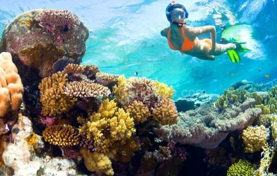 Hoi An: Cham Islands Snorkeling Trip by Speedboat with Lunch - Key highlights to know before you go