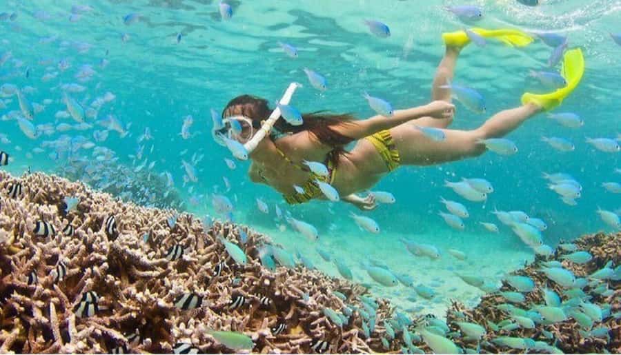 Hoi An: Cham Islands Snorkeling Trip by Speedboat with Lunch - From Hoi An to Cham Islands: how the day really plays out