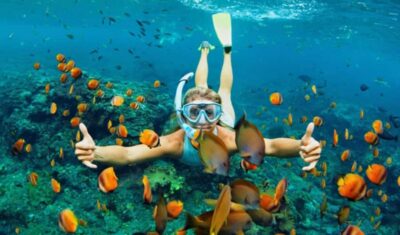 Cham Islands Snorkeling Trip by Speedboat with Lunch