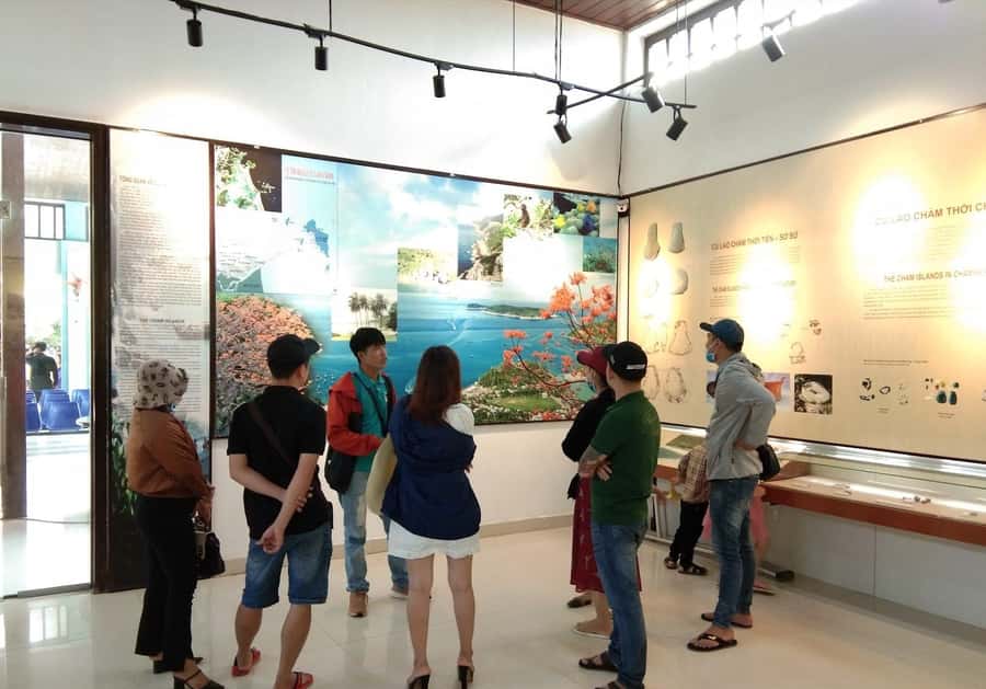 Hoi An: Cham Islands Snorkeling Trip by Speedboat with Lunch - Who should book this Cham Islands snorkeling trip