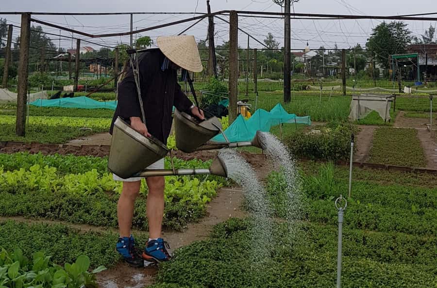 Hoi An Cooking Class With Market and Bamboo Basket Boat Tour - From Hotel Pickup to Market Ingredients in Hoi An