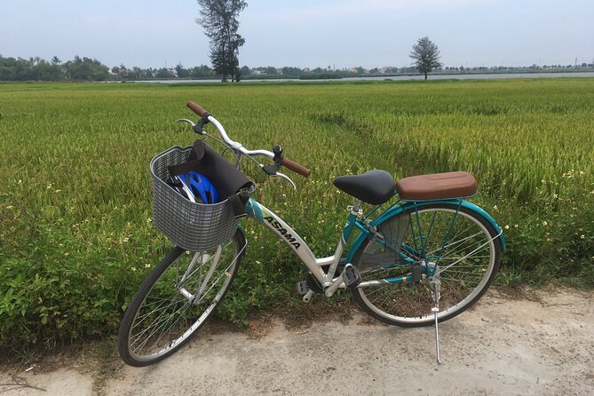 Hoi An countryside biking tour, water buffalo+ basket boat ride - The Trip From Vegetable Beds Toward Water Life