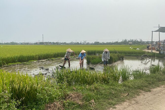 Hoi An Countryside Vespa Tour: Food, Culture & Daily Life - Lunch at a local bistro, with real ingredients
