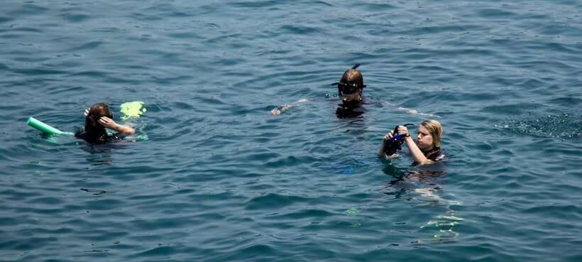 Hoi An/ Da Nang: Cham Island Discovery Tour - Who Should Book the Cham Island Discovery Tour