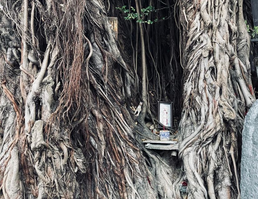 Hoi An Ghosts, Death, Mystery Unveiled - Ancient Wells and Ghost Alleys: A City Built for Stories