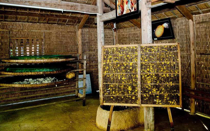 Hoi An: Half-day Silk Weaving Discovery Tour - Price and Value: Is $55 Worth It for a Half-Day?
