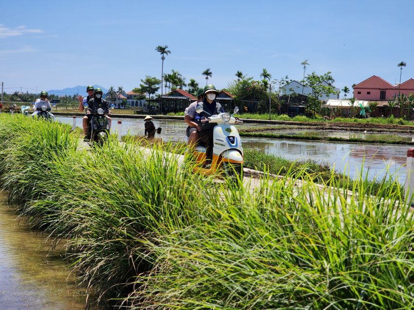 Hoi An Highlights and Hidden Gems Tour by Vespa - Price and value: why $68 can actually make sense