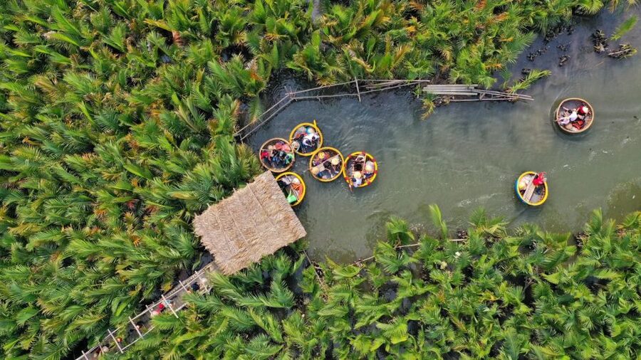Hoi An: Hoi An Basket Boat Ride in Water Coconut Forest - Bay Mau Coconut Forest: the fun bits and the noisy ones